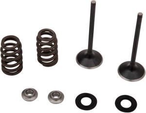 moose-exhaust-valve-kit