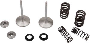 moose-intake-valve-kit